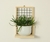 Plant Shelf na internet