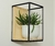 Nature Frame - comprar online