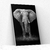 Placa decorativa Elefante P&B na internet
