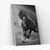 Placa decorativa Cavalo P&B na internet