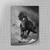 Placa decorativa Cavalo P&B - comprar online