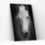 Placa decorativa Cavalo Branco na internet