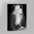 Placa decorativa Cavalo Branco - comprar online