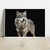 Quadro decorativo Lobo na internet