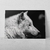 Placa decorativa Lobo Branco na internet