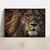 Quadro decorativo Leão - MOLDECOR