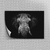 Placa decorativa Elefante P&B - comprar online