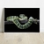 Quadro decorativo Cobra Verde na internet