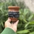 Mates que dicen - Paola Blaustein
