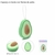 Esponja de baño con forma de palta (38968) - comprar online