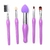 Set x5 brocha para maquillaje de ojos y rostro (39390) en internet