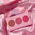 PHALLEBEAUTY PALETA DE BLUSH V:05/2025