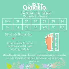 Sandalia Birk en internet