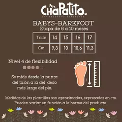 Zapatilla Barefoot - comprar online