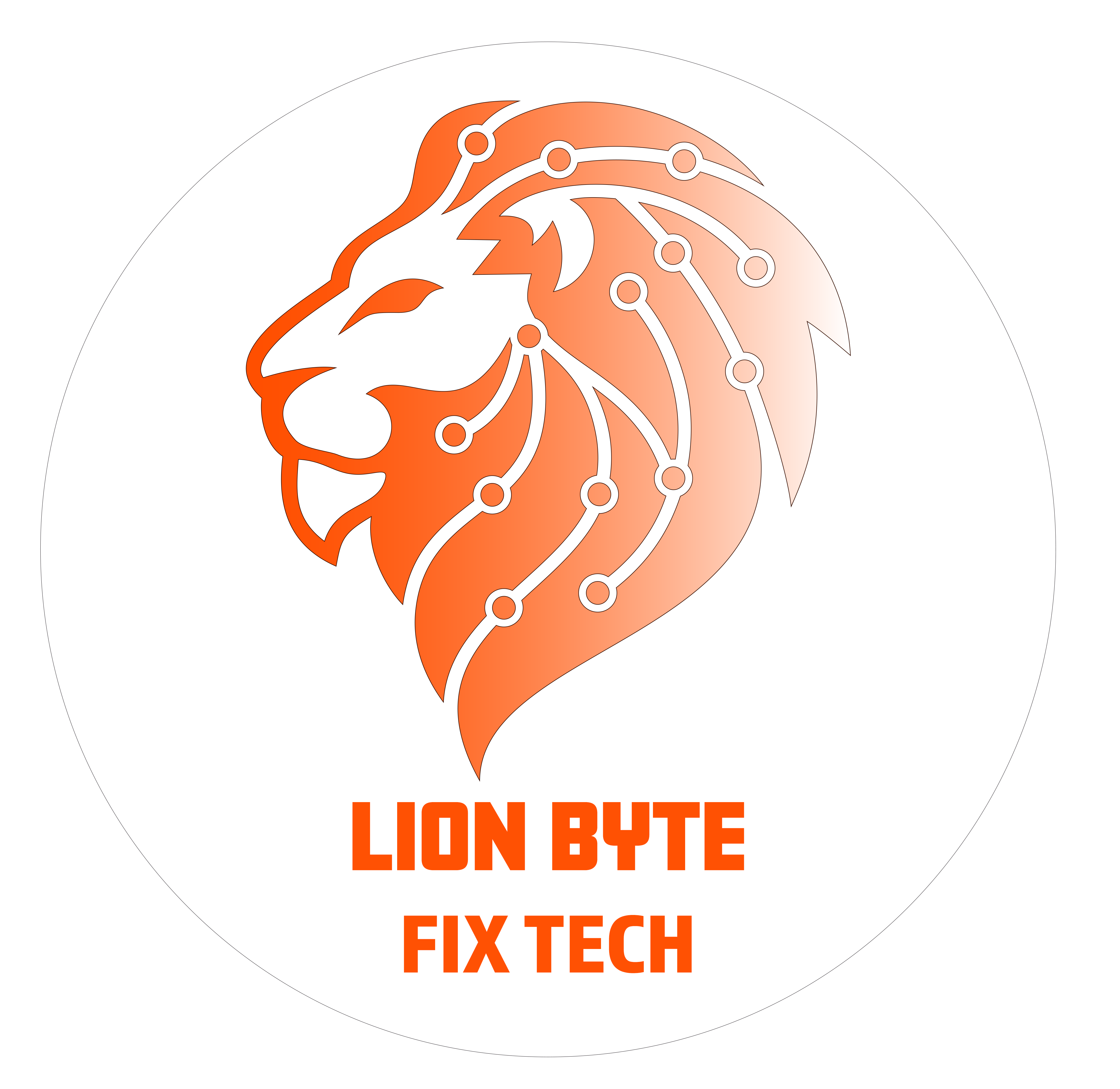 Lion Byte Fix Tech