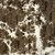 Imagen de Alfombra Isadore Soft Touch