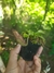 Nepenthes {(Veitchii x boschiana) EP x [(lowii x veitchii) x boschiana] EP} - comprar online