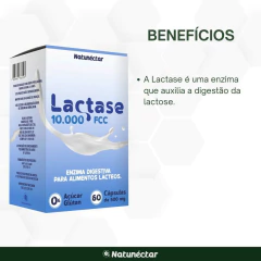 3x Lactase 10.000fcc- Enzima Lactase - 60 Cáps - Natunéctar na internet