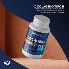 6x Colágeno Tipo2 Plus + Vit D 3 + Vit K2 + Magnésio na internet