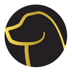 Petisco Natural - Mordidinhas de Frango- PetTreats- 100g na internet