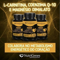 3x Trio Cardio- Magnésio- COQ10- L- Carnitina- Nutrigenes - Vivet Upgrade