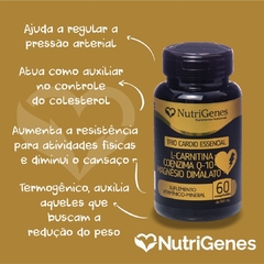 Kit Solução De Sinatra - Trio Cardio + D- Ribose Nutrigenes - Vivet Upgrade