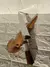 Cuchillo Campero 20cm Acero Inoxidable + Funda - Mate Ideal