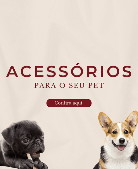 Carrossel 1