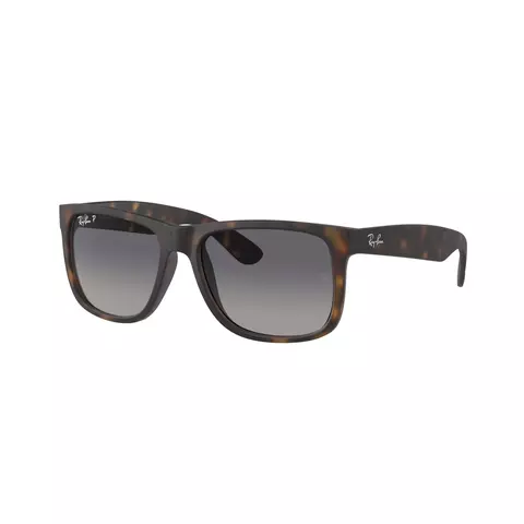 Ray-Ban Justin 4165 CAREY/ GRIS DEGRADE