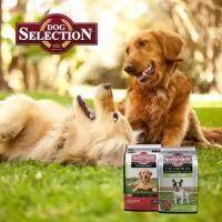 Marca 3 de Mascotas del Rio