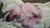 Bebê Reborn Rosalie Com Cabelo Implantado Menina