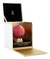 Aurora Scents Cherry In The Woods - DECANT/FRACIONADO 5ml e 10ml na internet