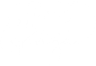 Vibe Gringa