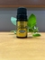 Essência Via Aroma - Gratidão com óleo essencial de Jasmim para difusor - comprar online