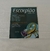 Pedra do Signo Escorpião - Ametista - comprar online