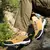 SNORW Sapato masculino de couro - Zion Shoes