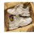 Sneaker RE 1957
