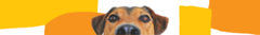 Banner de la categoría Estética e Higiene