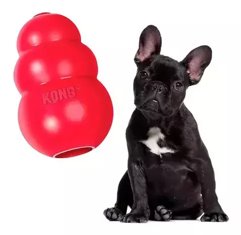 Perro bulldog francés negro sentado junto a un juguete interactivo resistente Kong Classic rojo
