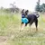 Kong Jumbler Football Juguete Interactivo para Perros - comprar online