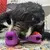 Kong Rerun Whoosh Bone Juguete Interactivo para Perros - comprar online