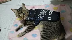 Merlina, mamá de Romeo