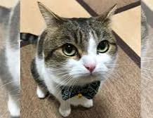 Florencia, mamá de Willow 