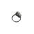 Anillo mar plateado en internet