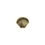 Anillo concha - comprar en línea