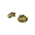 Arete concha en internet