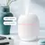 Portátil 220ml H2o mini copo spray umidificador difusor de óleo essencial de a na internet