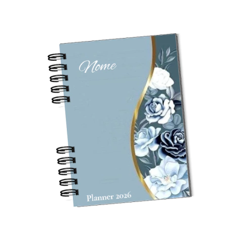 Planner 2026 - comprar online