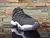 Nike Air Jordan 11 en Heiress en internet