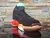 Nike Air Jordan 6 17/23 en Negro con Multicolor en internet